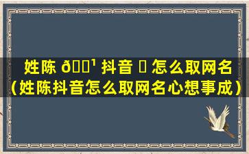 姓陈 🌹 抖音 ☘ 怎么取网名（姓陈抖音怎么取网名心想事成）